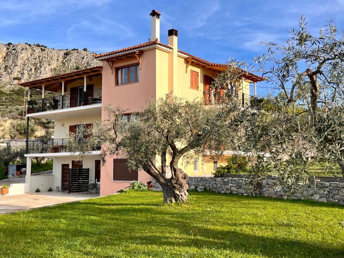 Ενtree Guest House Near Palamidi Castle Návplio Eksteriør bilde